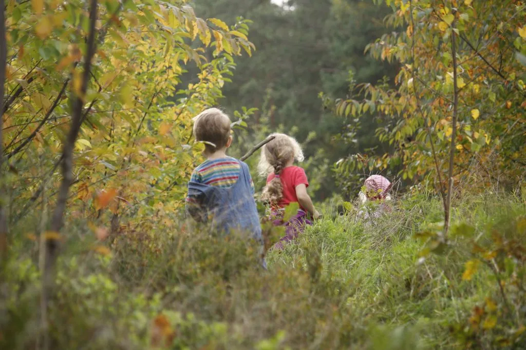 Kinder spielen im Wald