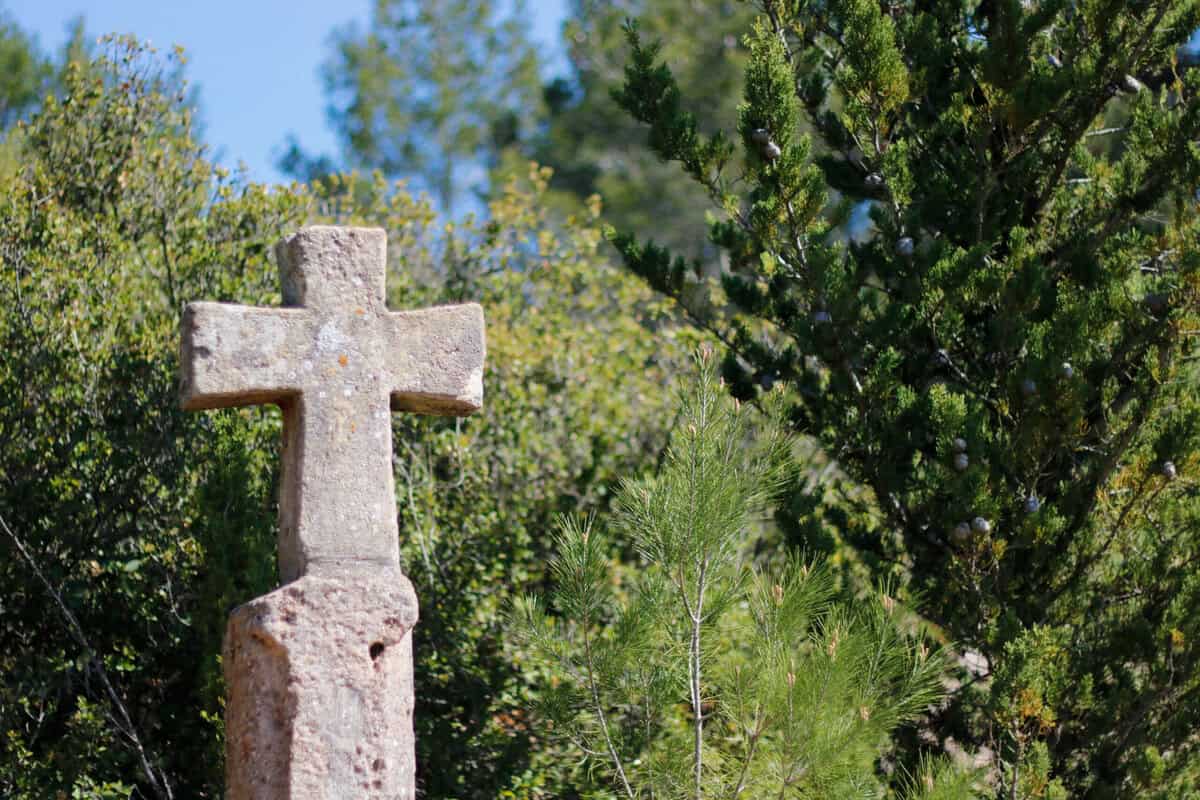 Wie politisch darf Kirche sein?