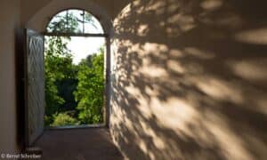 Offene Tür mit Rundbogen in einem hellen Gang, Blick auf grüne Bäume, Schatten von Blättern an der Wand